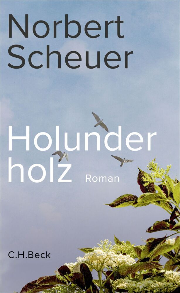 Norbert Scheuer: Holunderholz